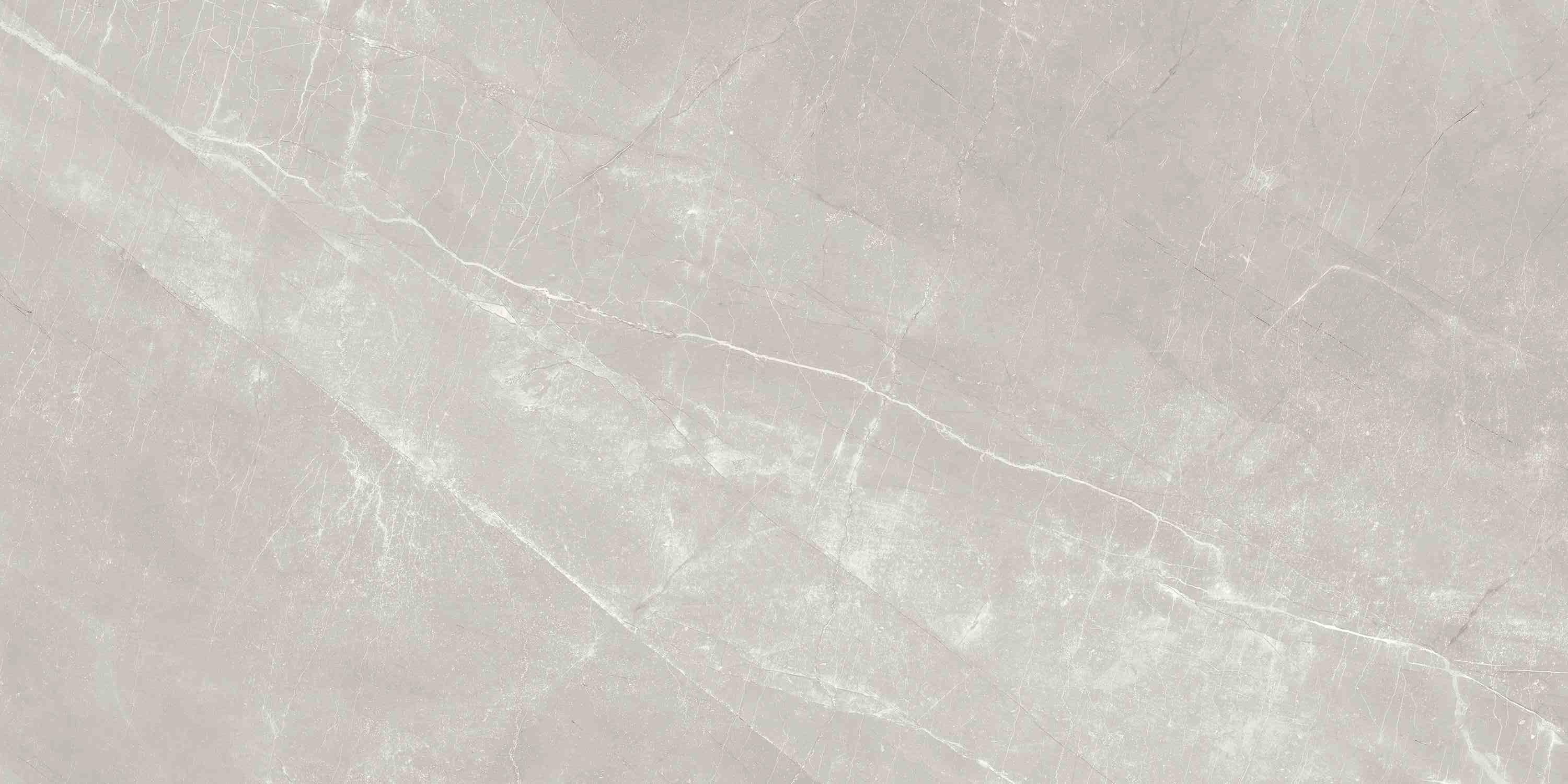 ENSTN7004MT60120 Alaska Grey Matt 60x120 Ennface фото 3