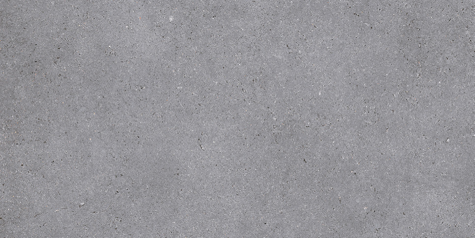NR210 Nemo Grey 60x120 PrimaVera