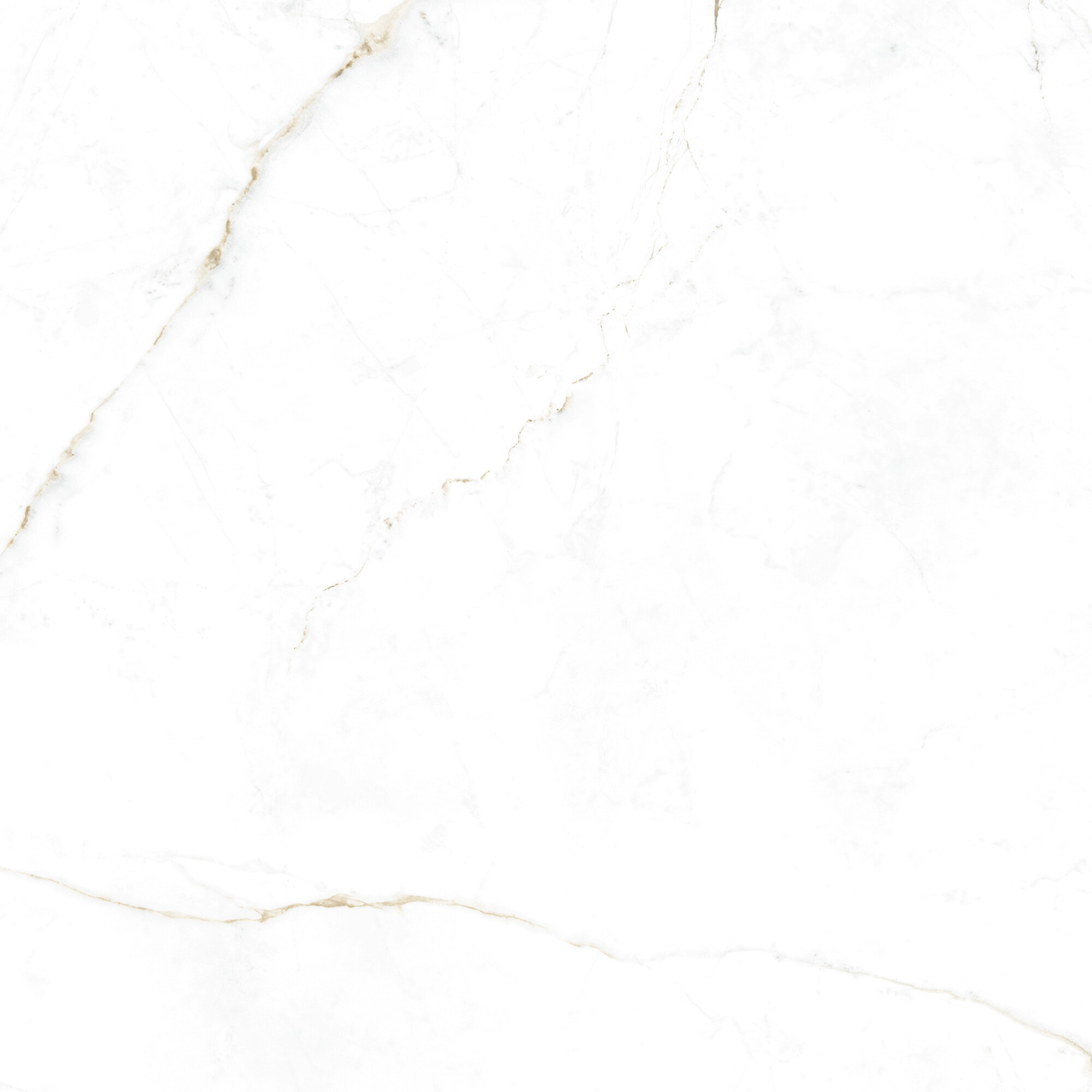 41145 Dual White SP/100x100x0,8/R 100x100 Peronda