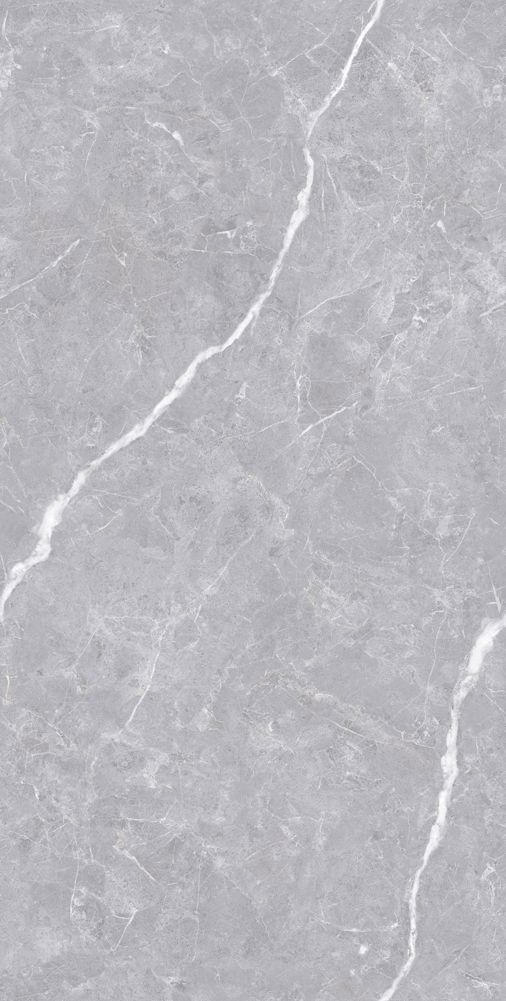 Luanda Polished Silver Carving 60x120 Realistik