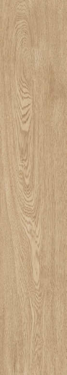 1061 Parma Miel Mate 120x20 Artcer