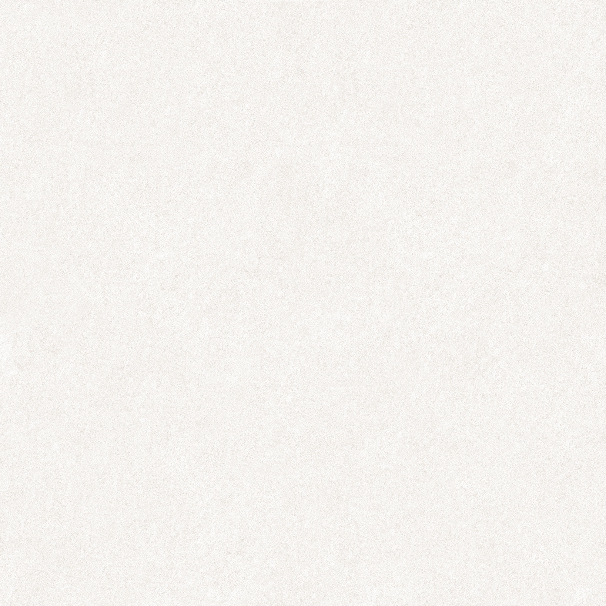 N4BA0MVNA2H1MJ Alma Light Gray Matt Rect 60x60 Goldis Tile