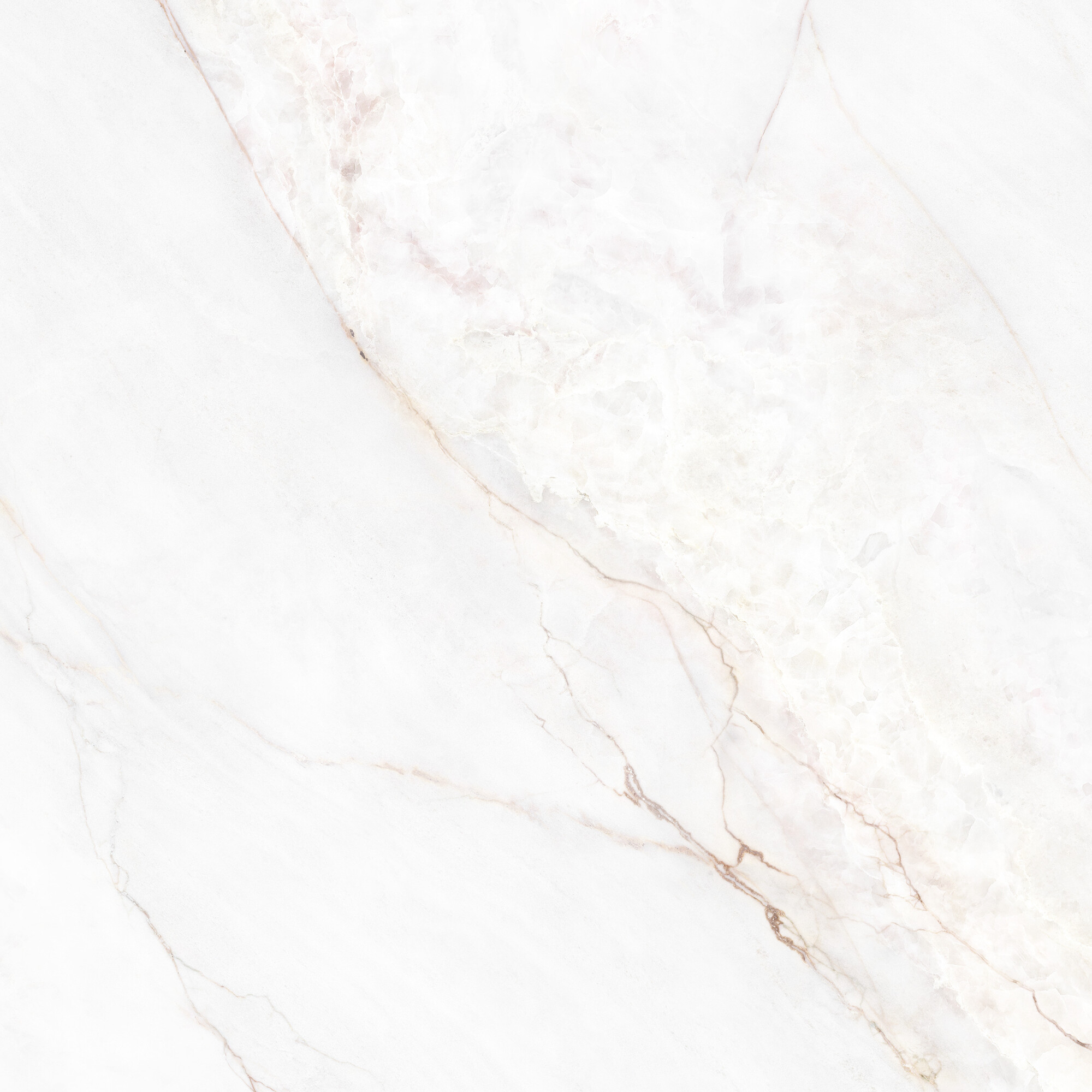 41431 Dahlia White SP/100X100X0,8/R 100x100 Peronda фото 9