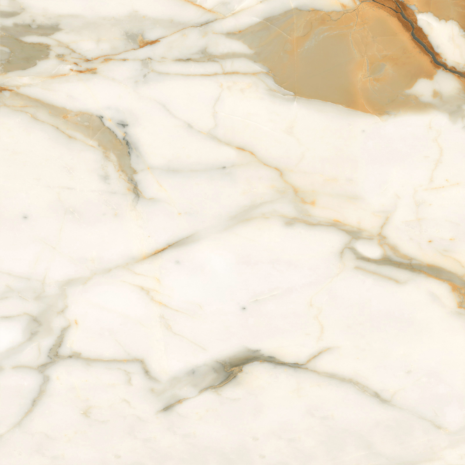 6060CBO55P Calacatta Borghini 60x60 LCM