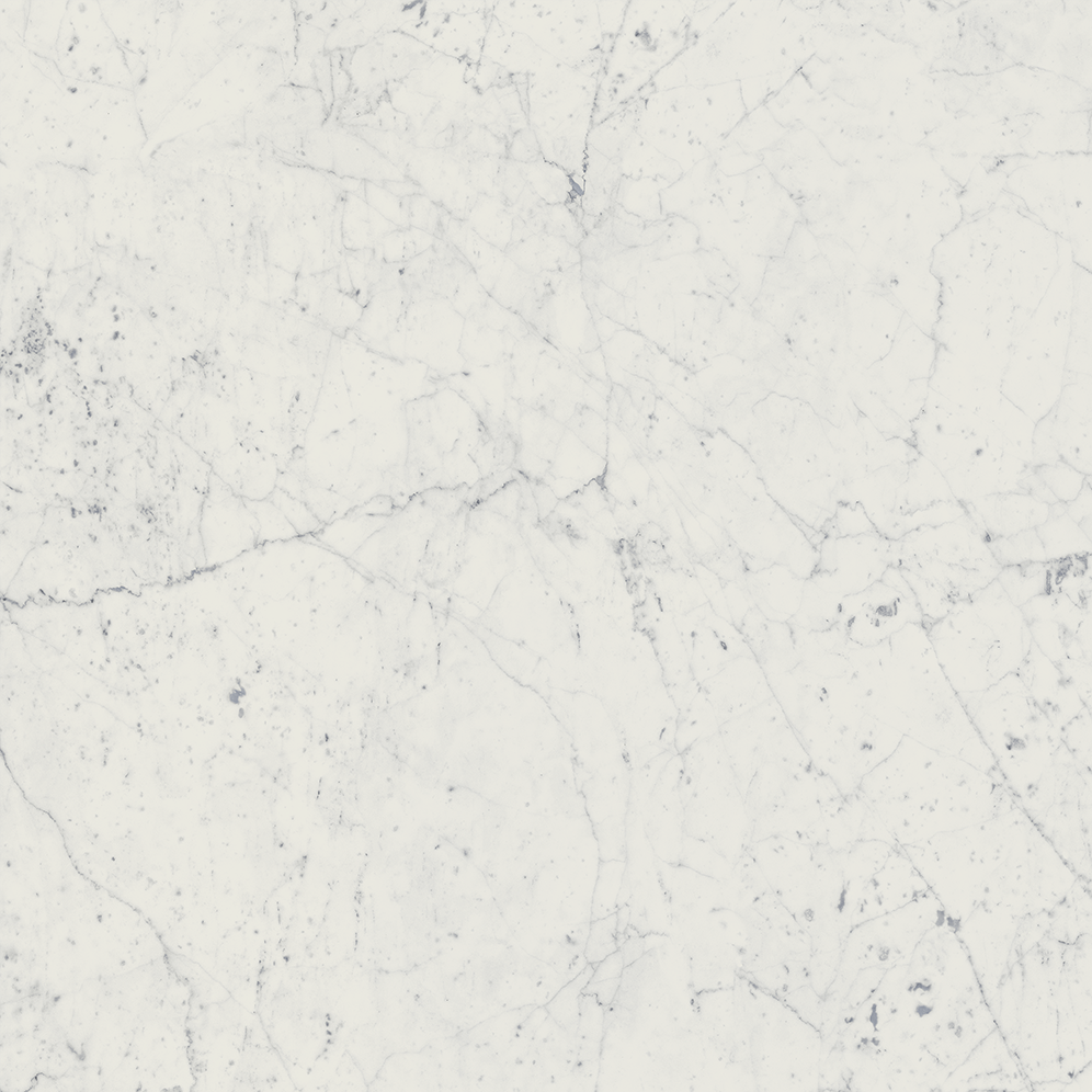 610010001188 Charme Extra Carrara Nat Ret 60x60 Italon