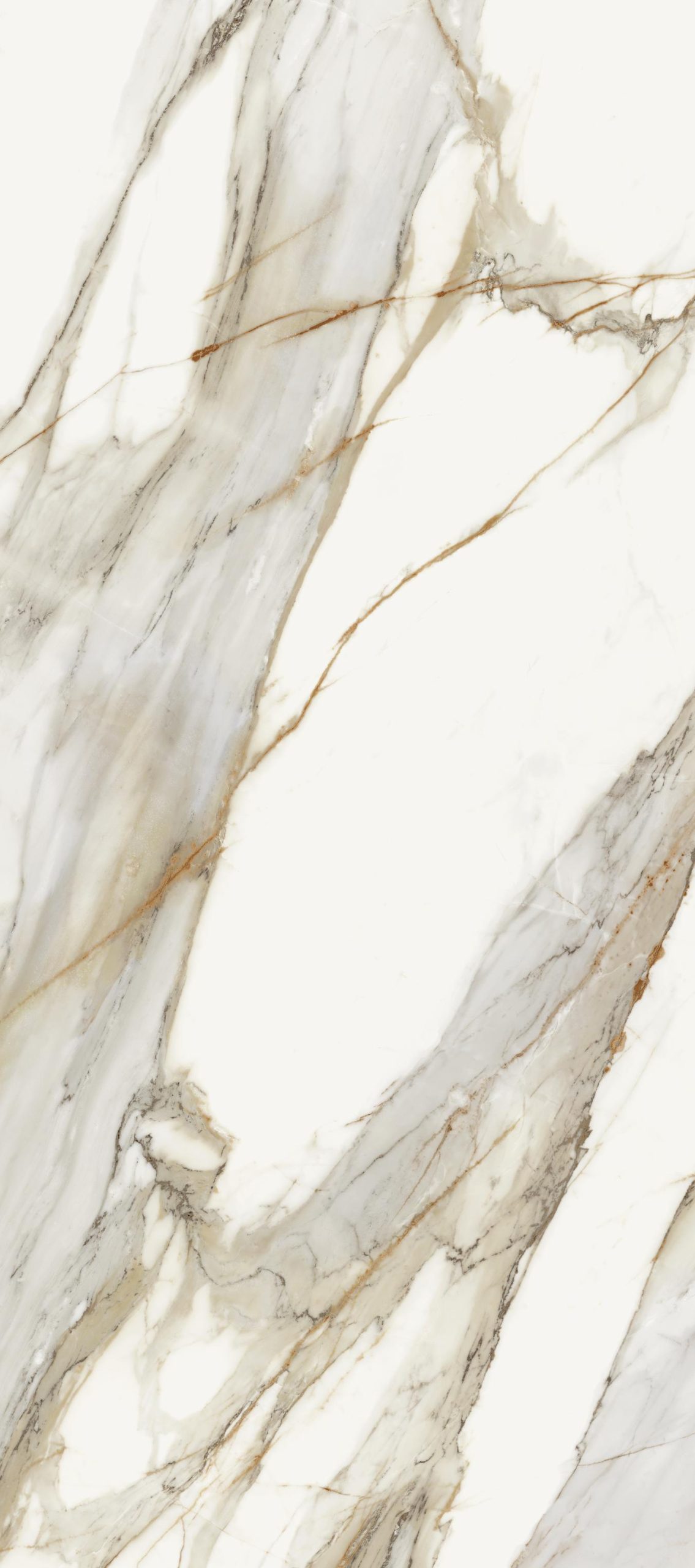 78MV08P Macchia Vecchia Pulido 5.6mm 120x278 Grespania