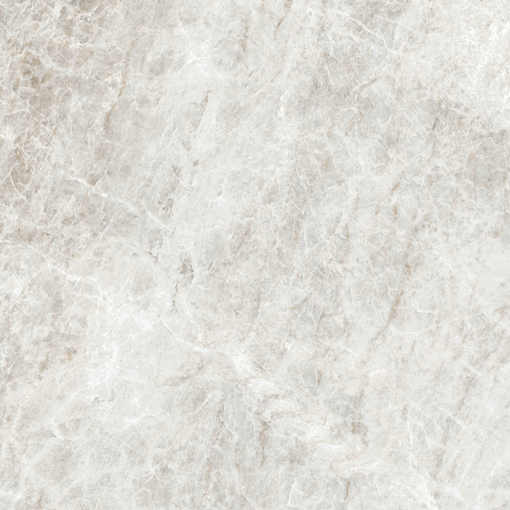 784549 Iconic Life Rice Yamuna Glossy 60x60 Cerim фото 2