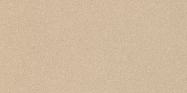 PRTU 12A RM PARADE 60x120 Imola Ceramica
