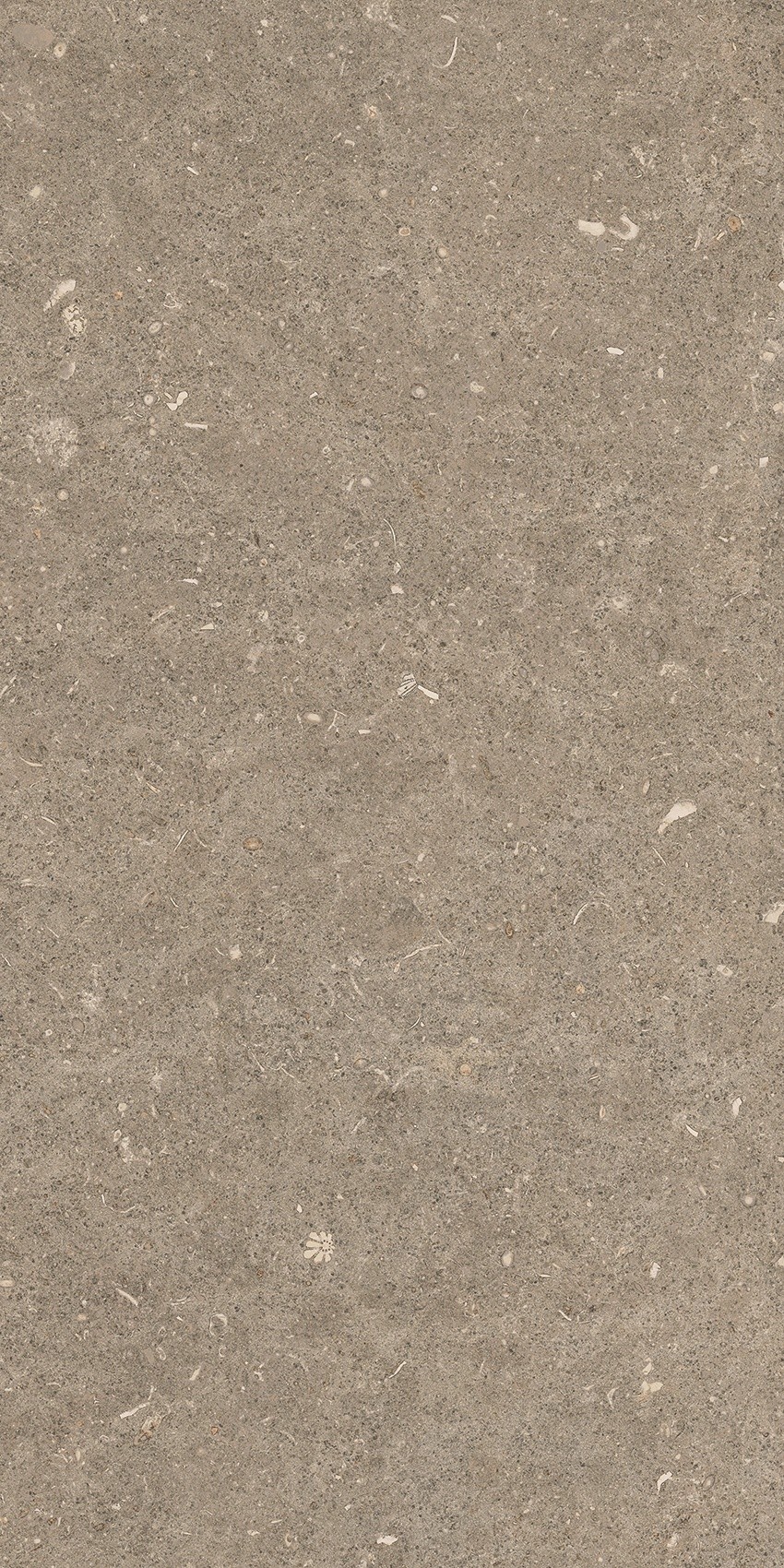 785502 Rinascenza Arena Pietra Grip 30x60 Casa Dolce Casa фото 7