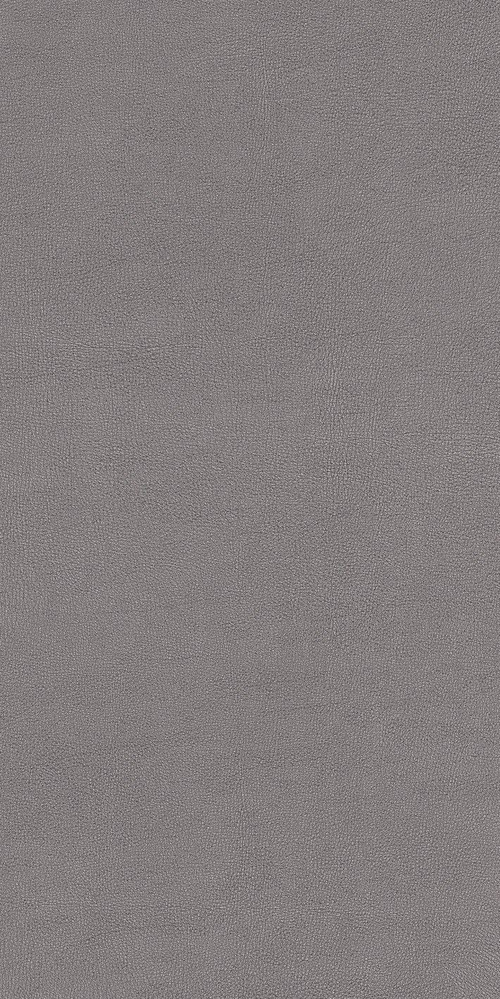 769475 Chimera Radici Grigio Mat Ret 6mm 60x120 Cedit