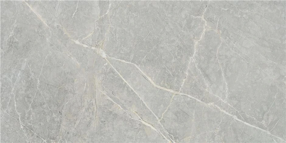 Syrah Light Matt 60x120 STN Ceramica