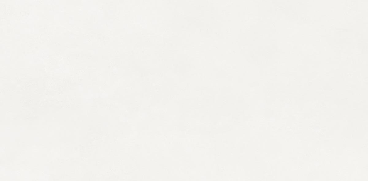 N110011 Aston White Matt 60x120 Neodom фото 3