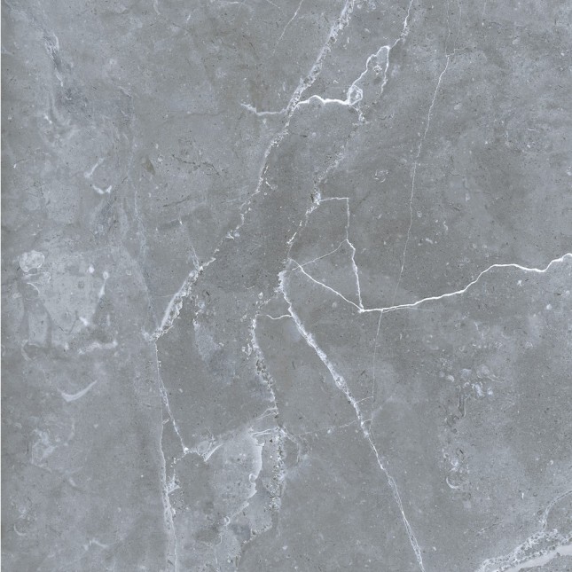 GRS02-16 Petra Northern Silver 60x60 Gresse