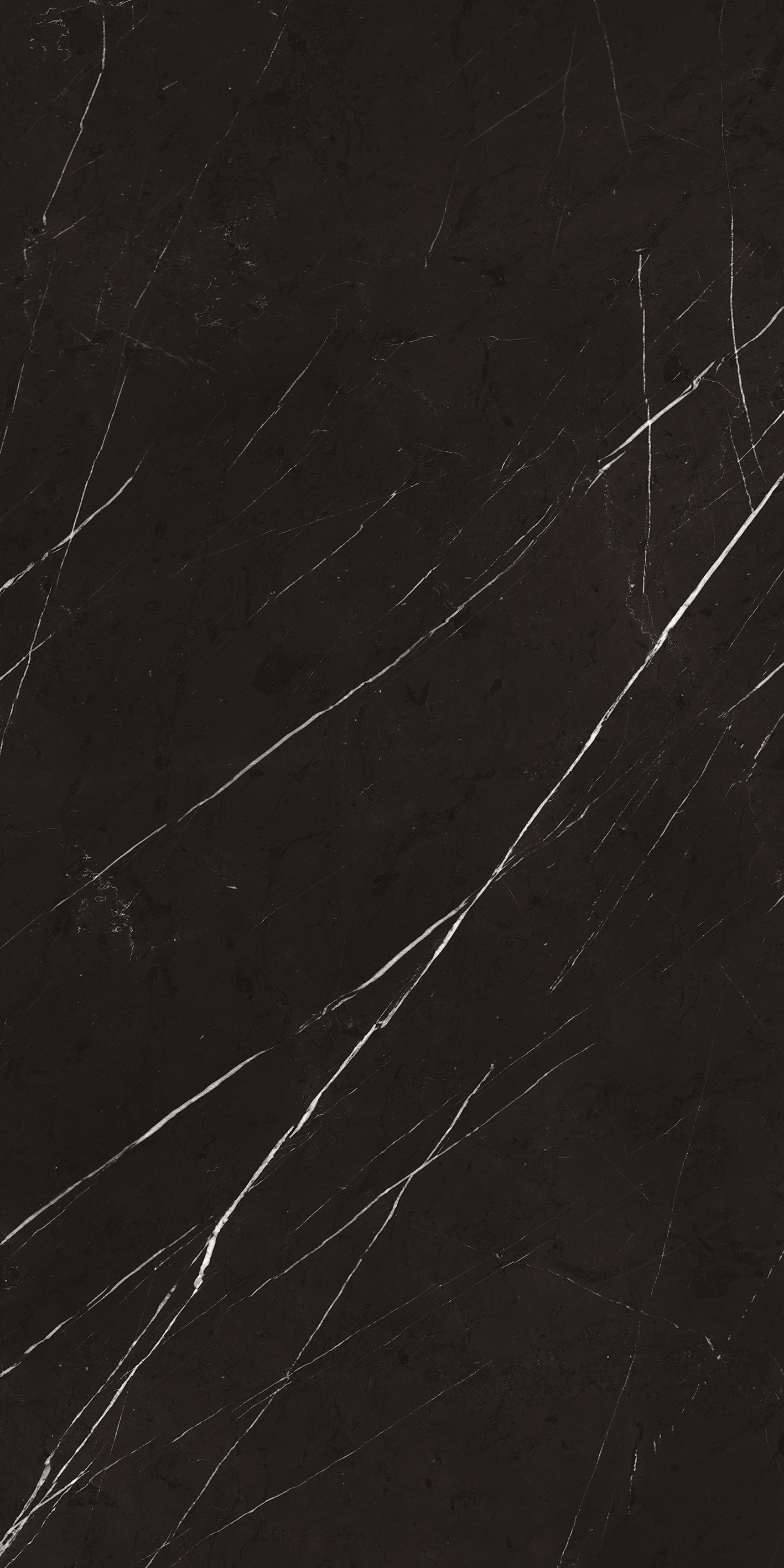 769424 Chimera Empatia Nero Glossy Ret 6mm 120x240 Cedit