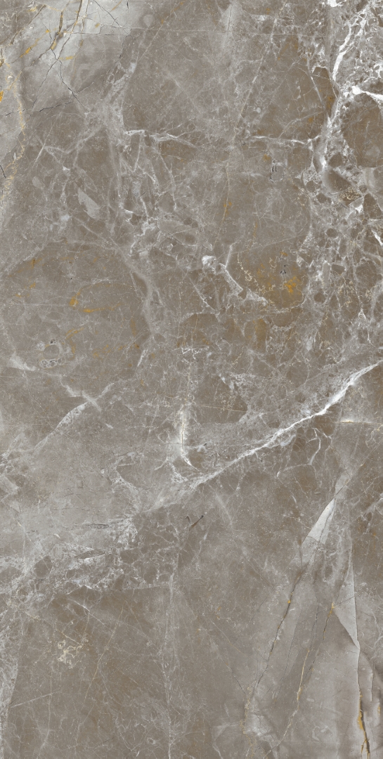 Zanetta Graphite Glossy 60x120 Modern Tile