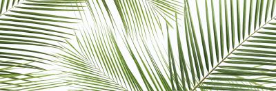 Панно Brennero Tropic (2) 50x75 Ceramika Konskie