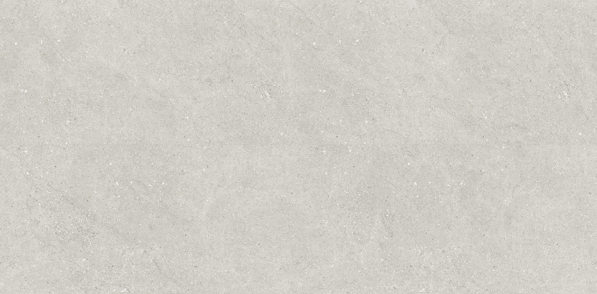 N110007 Liberty Grey Matt 60x120 Neodom