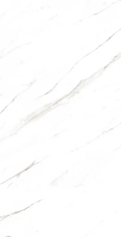 Marble Super Satvario 120x60 Artcer