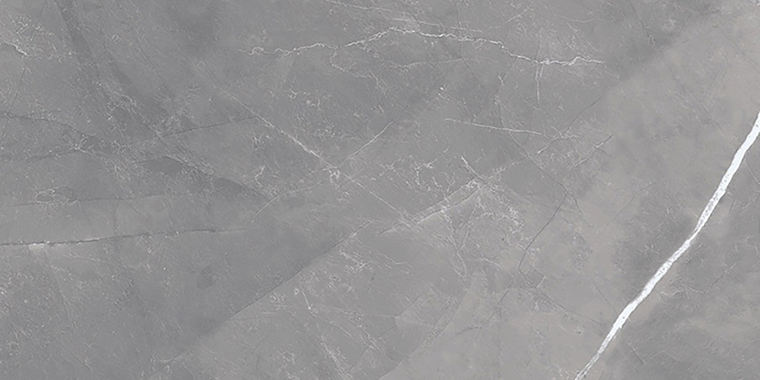 Elbert Gris Matt 60x120 Geotiles