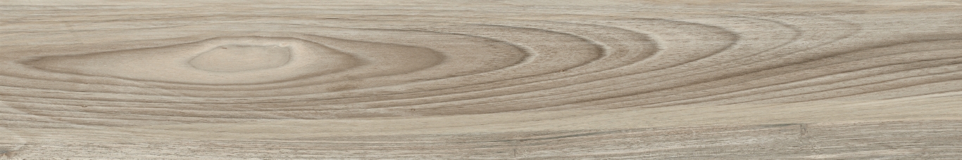 Boutonne Fresno Pulido R 20x120 Baldocer