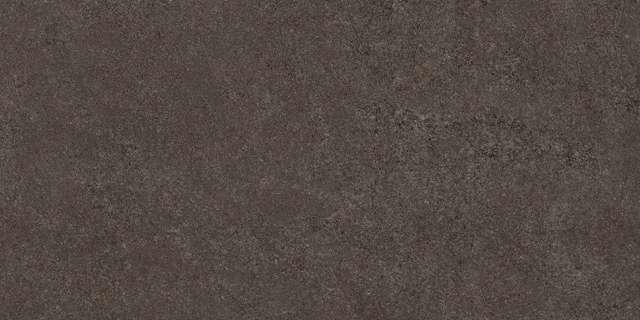 Thar Wood 60x120 Colortile