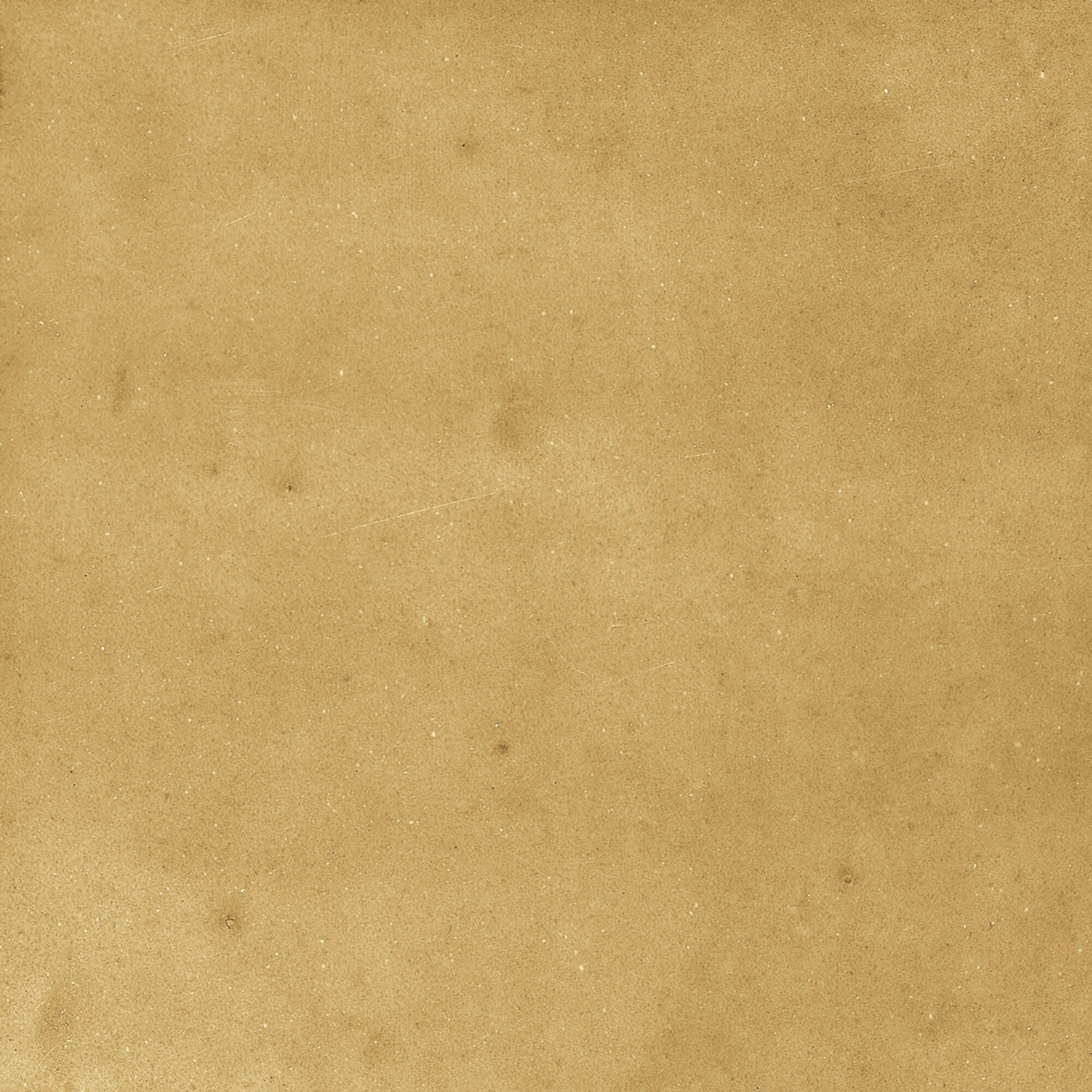 43288 Samira Gold 10x10 Harmony фото 37