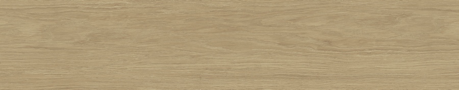 Lionel Haya Matt Rect 23x120 STN Ceramica