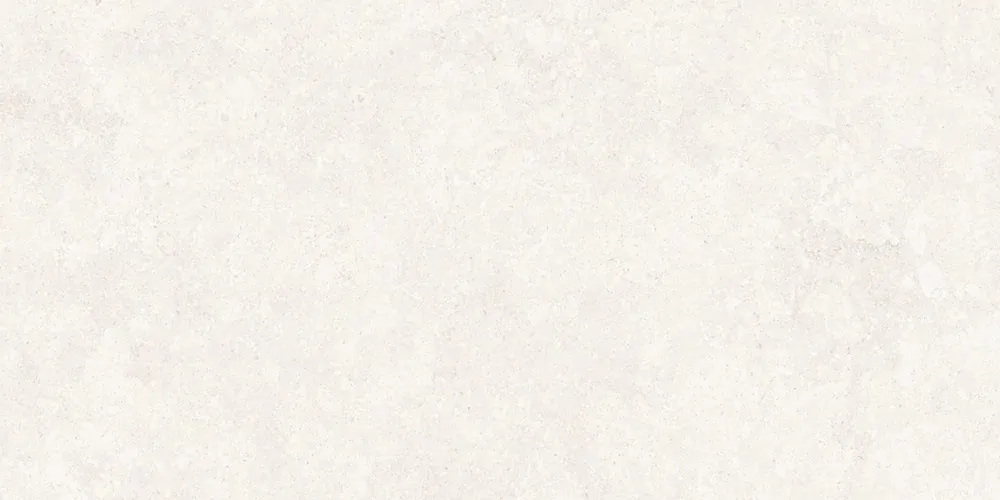 Base Bedford White C-1 R9 60х120 Exagres