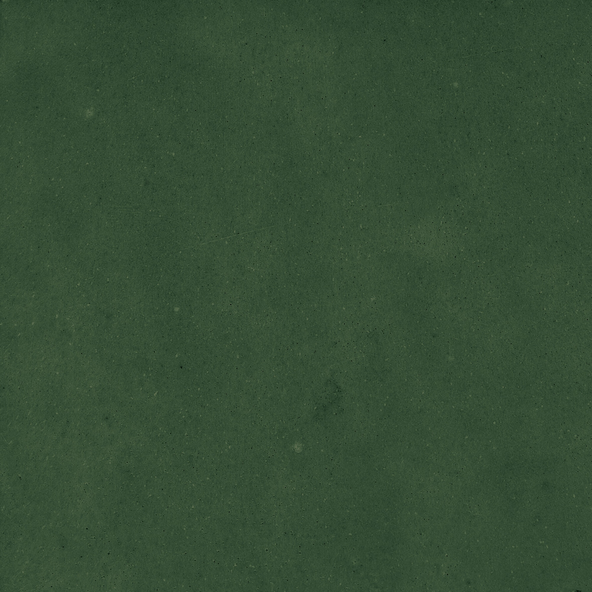 43289 Samira Green 10x10 Harmony фото 25