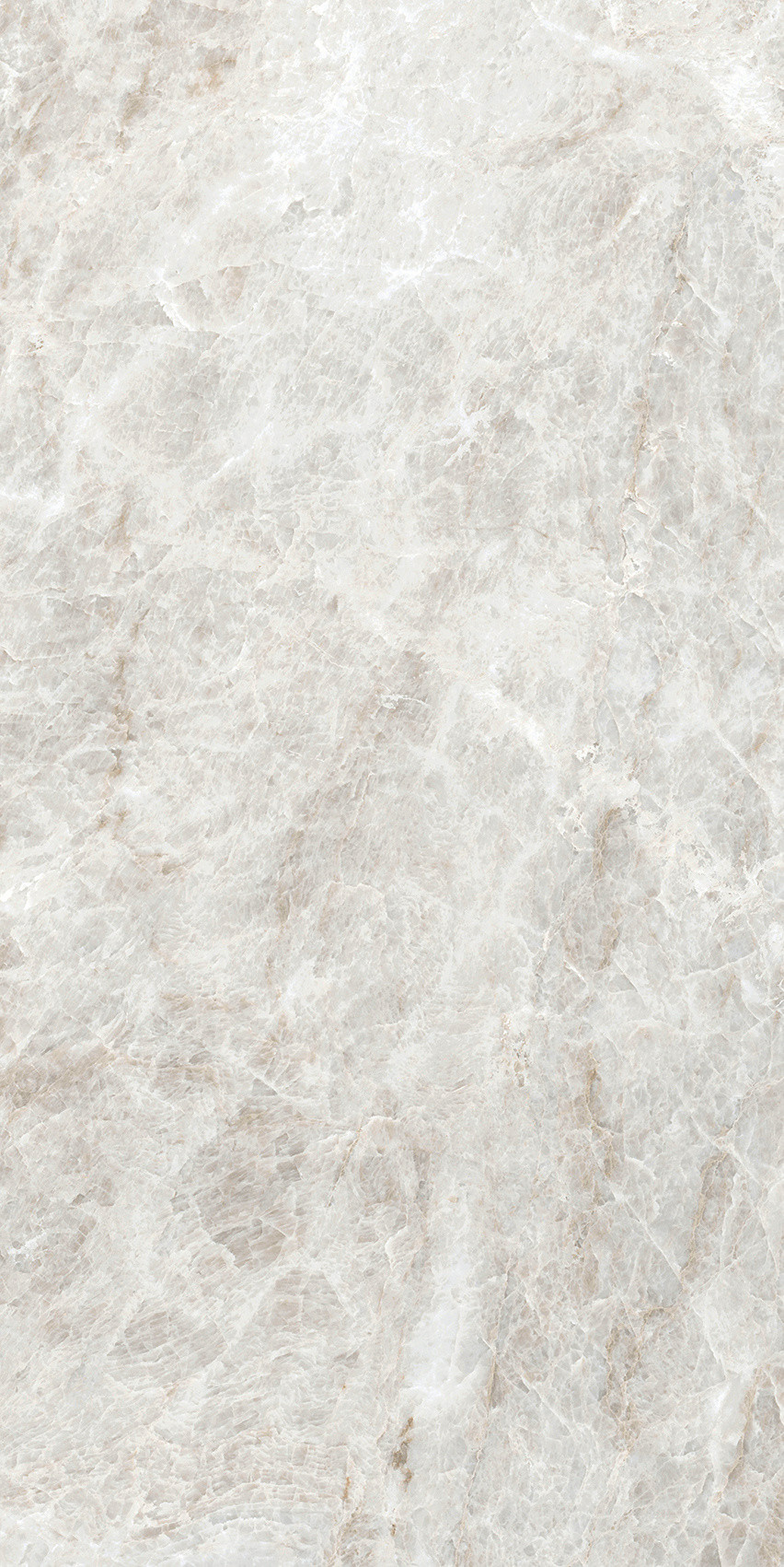 784553 Iconic Life Rice Yamuna Glossy 30x60 Cerim фото 5