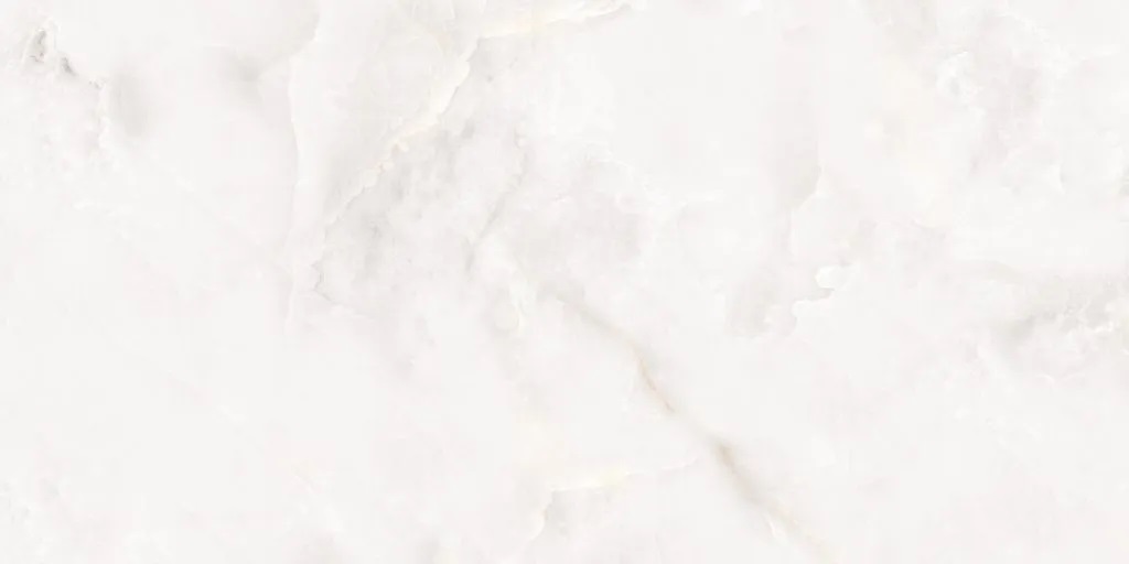 N20577 Classo Onyx Polished 60x120 Neodom