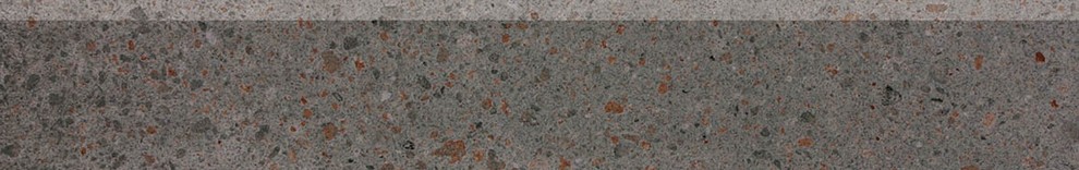 DSAS4789 PIAZZETTA 9.5x60 RAKO