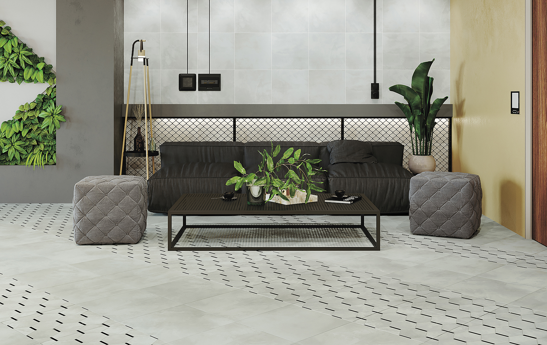Anima New Trend