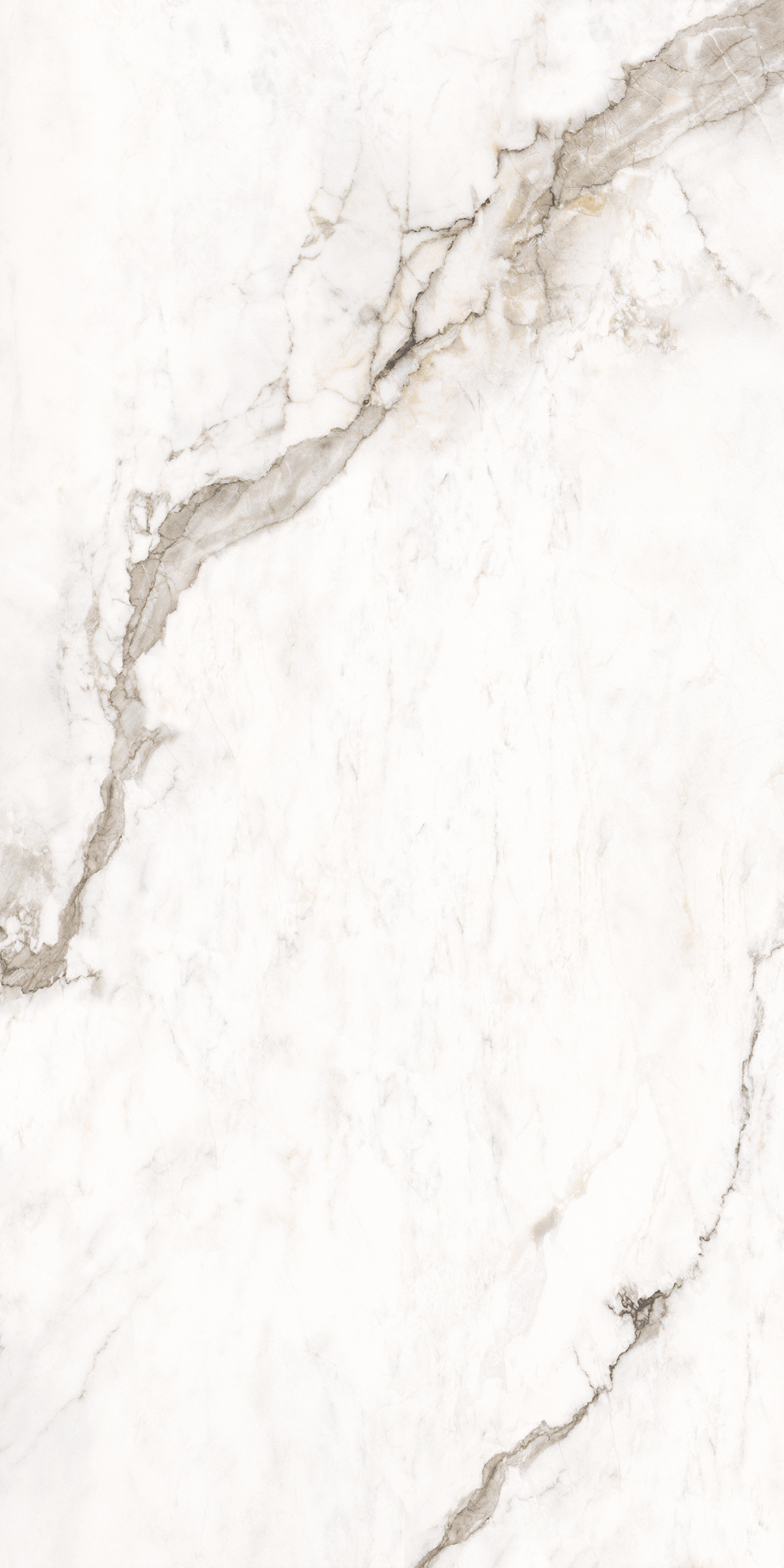 884 Amalfi White 120x60 Artcer