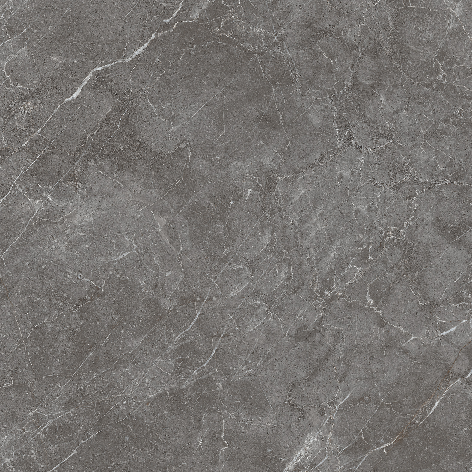 CR6001-A Esperia Grigio Carving 60x60 Arcadia Ceramica фото 12