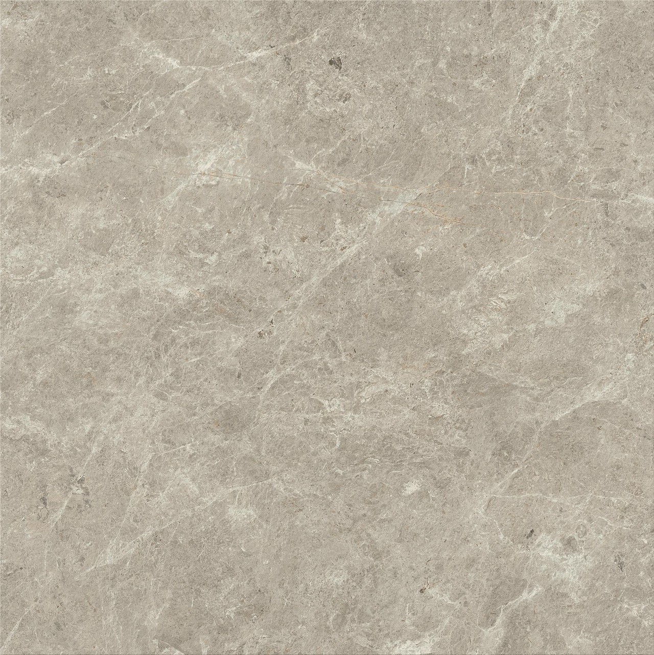 HCR0 Nyra Mist Matt 80x80 Atlas Concorde