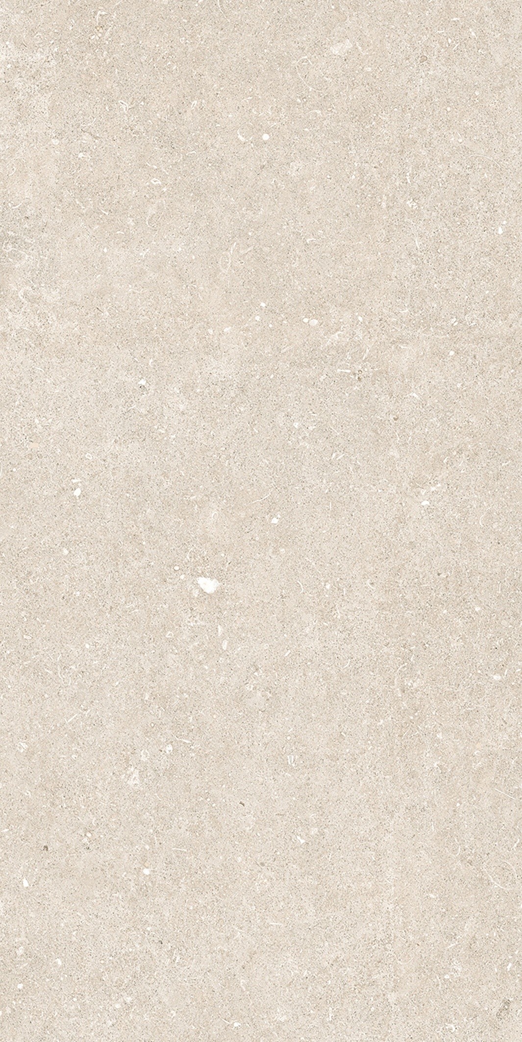 785574 Rinascenza Arena Bianco Antico Matte 6mm 60x120 Casa Dolce Casa фото 6