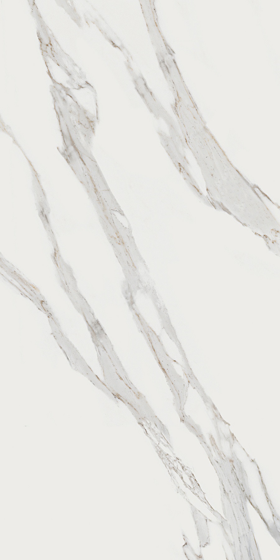 TV13 Jewels JW02 Calacatta Reale 60x120 Mirage