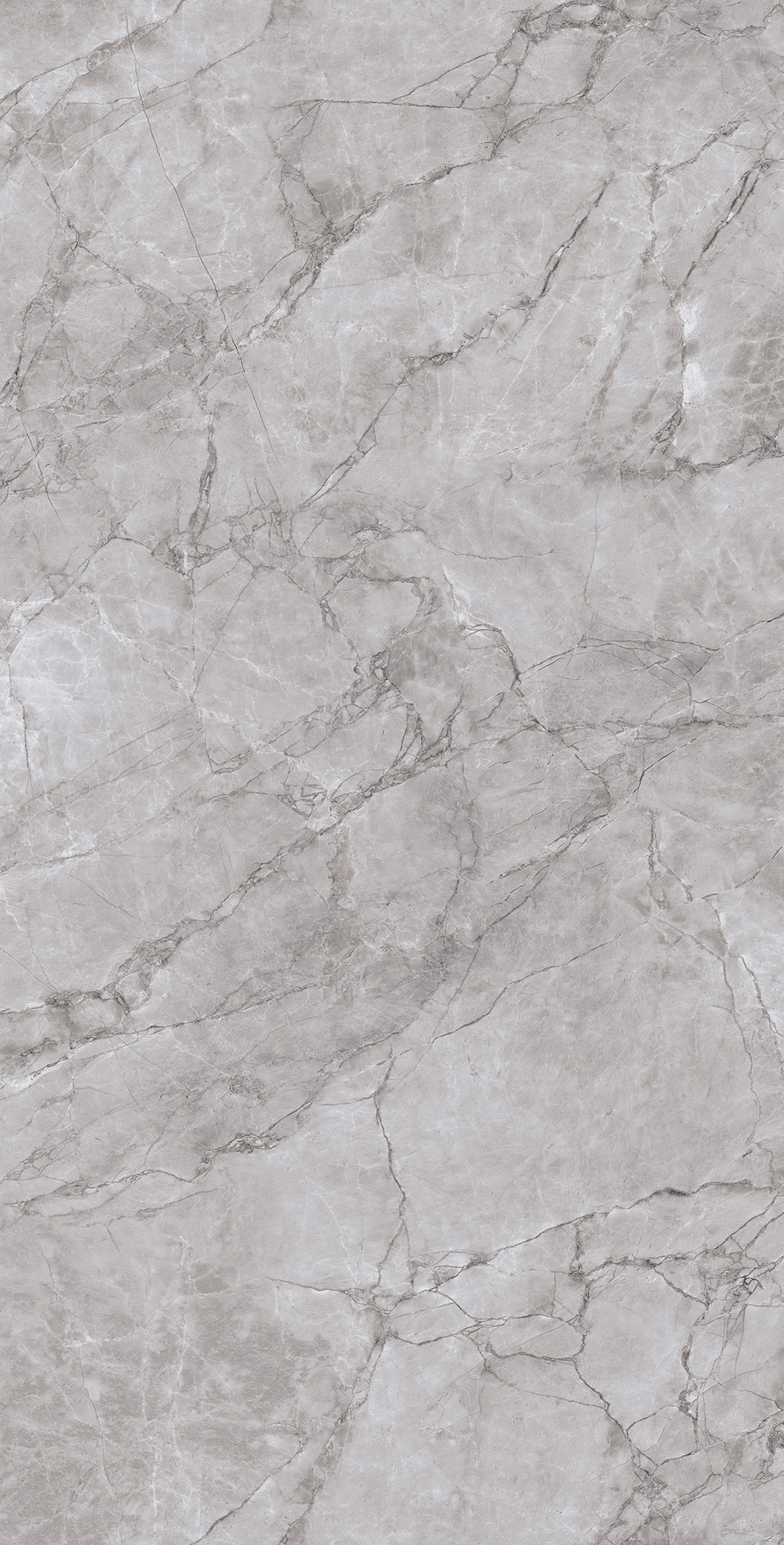 CL4005-A Arctic Grey Carving Lappato 60x120 Arcadia Ceramica