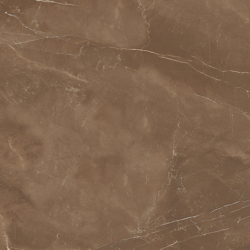 Armani Brown Satin 60x60 Colortile