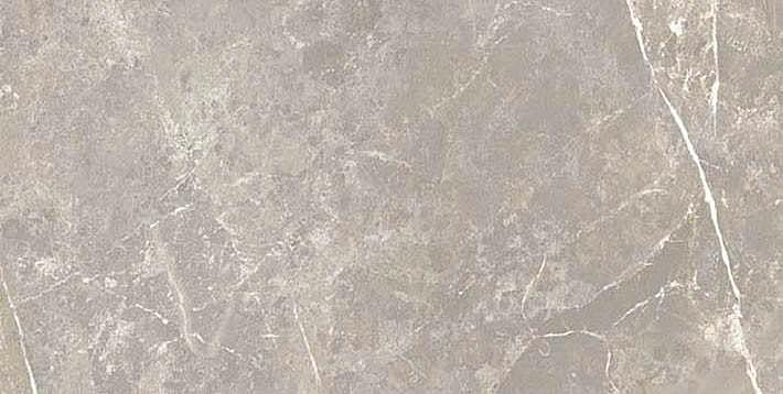 766630 Elemental Grey Dolomia Luc Ret 30x60 Cerim
