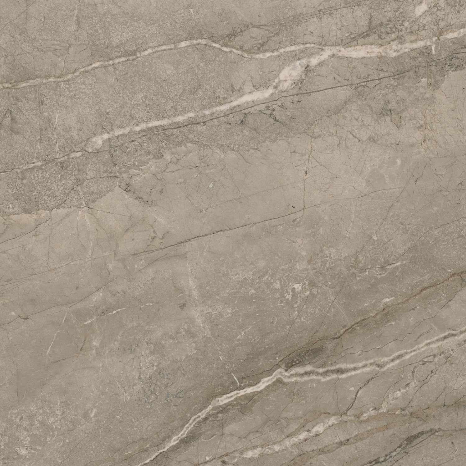 610015000650 Forte dei Marmi Mystic Grey 80x80 Atlas Concorde Russia