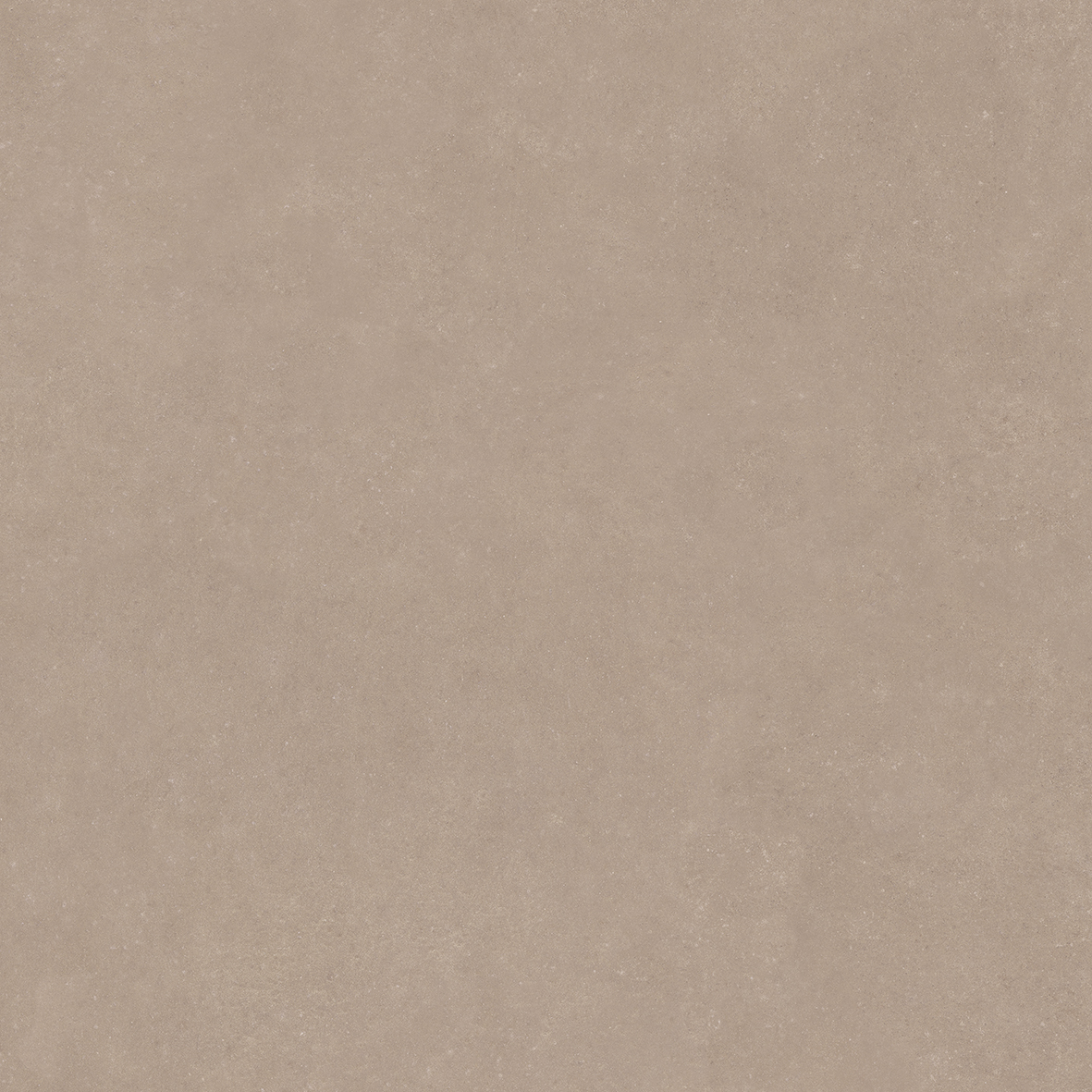 4101182 Nok Taupe 120x120 41ZERO42