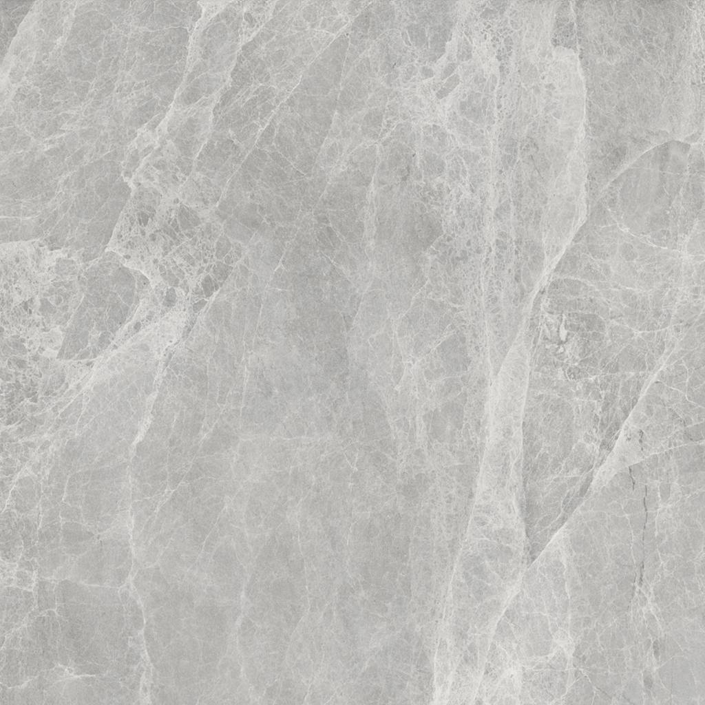 Worner GREY 60x60 Bluezone