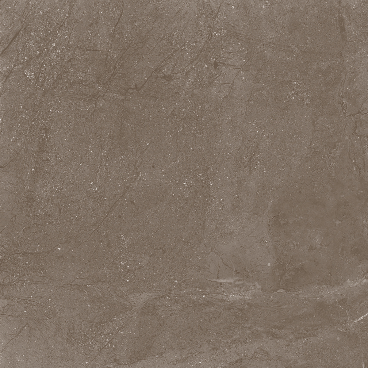 Нобл Мокка ПРО коричневый матовый R11/A Бархат 60х60 Laparet фото 10