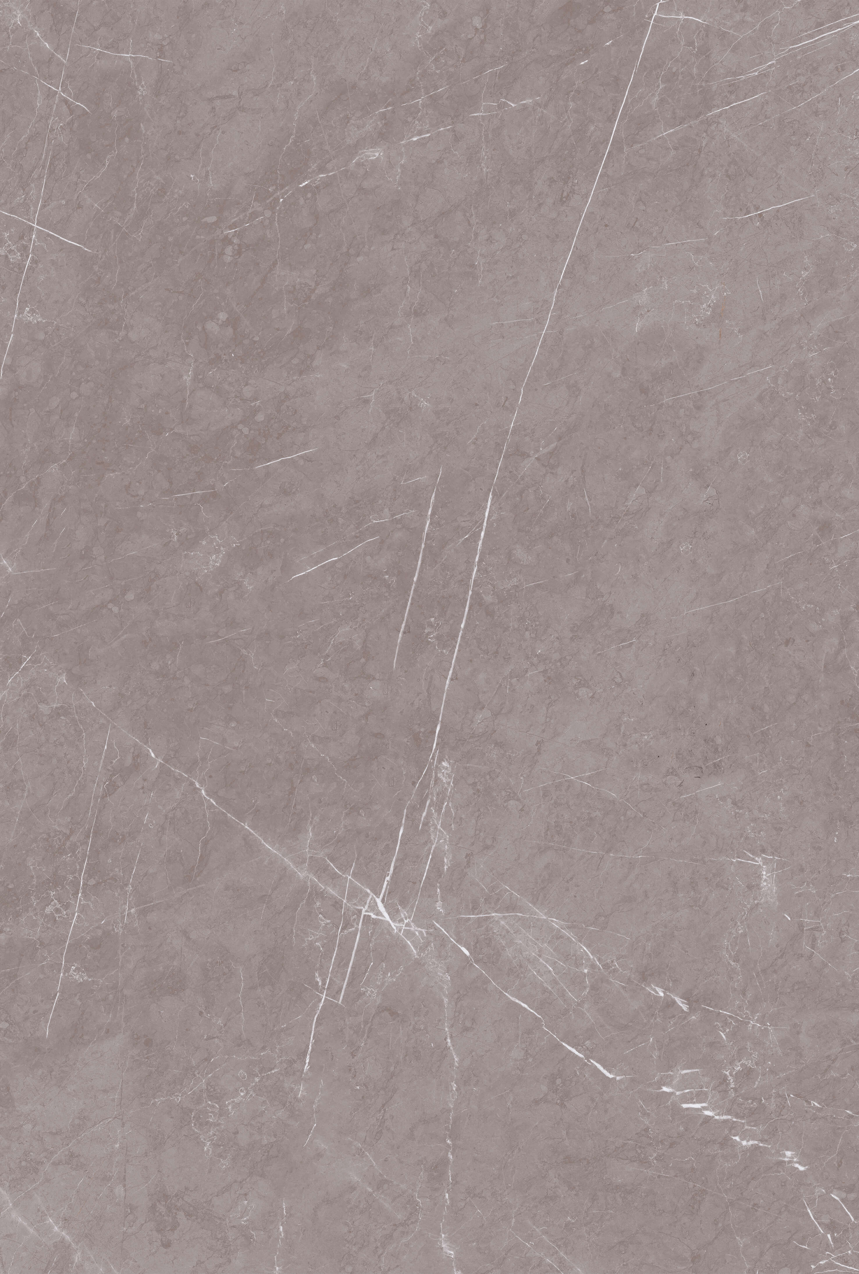 1101 Monte Taupe Carv 180x120 Artcer