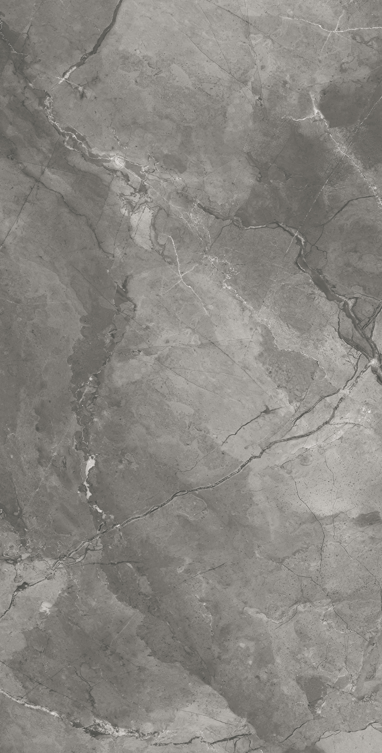 CR4030-A Bismanto Grey Carving 60x120 Arcadia Ceramica фото 3