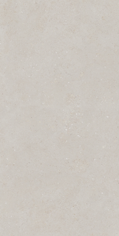 4100998 Superclassica SCB Natural R10 60x120 41ZERO42