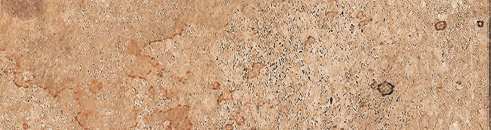 Айдахо 4 коричневый 245x65 Керамин фото 10