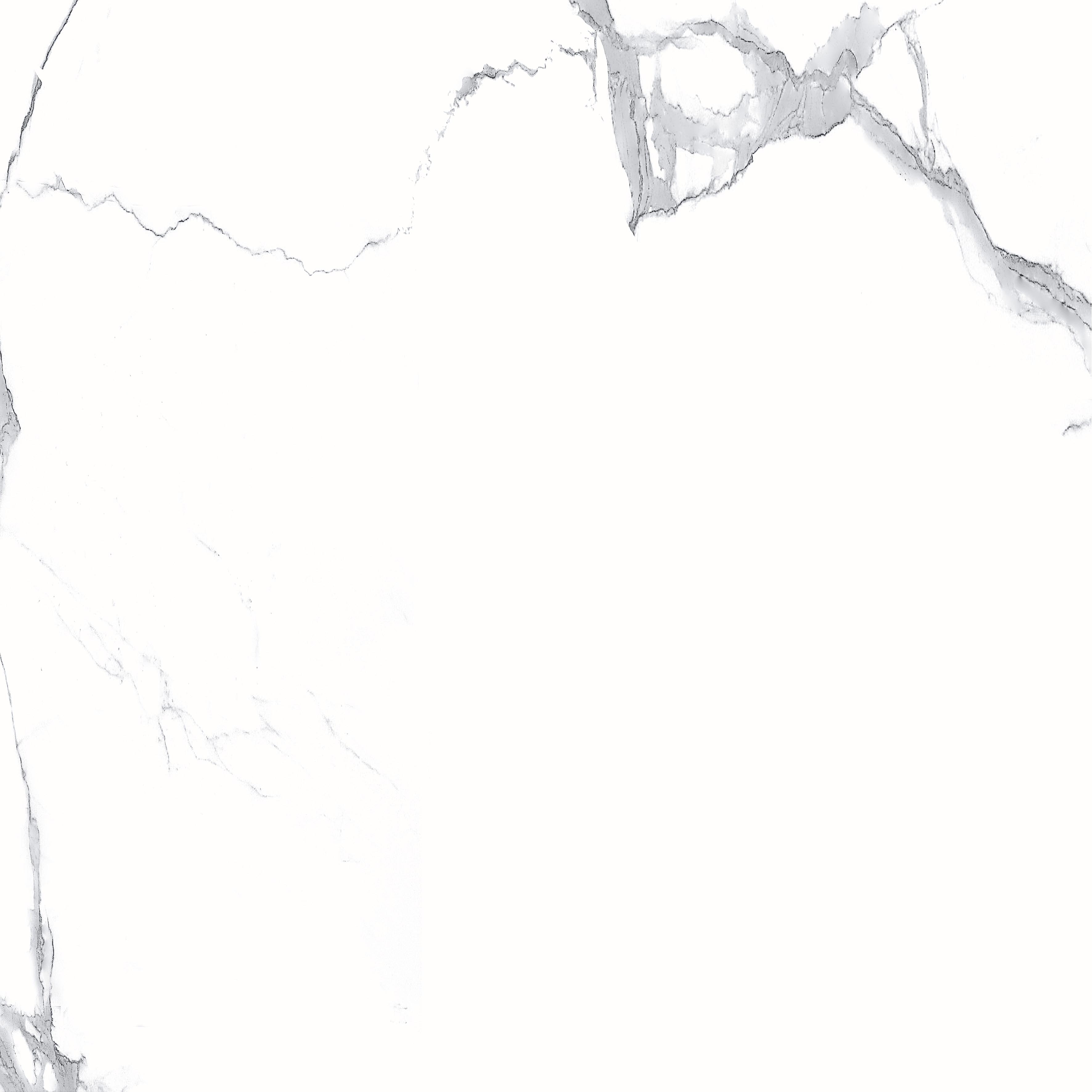 Megnus Statuario Glossy 60x60 Modern Tile